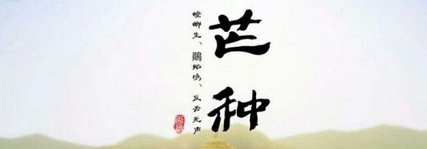 芒种节气在什么季节