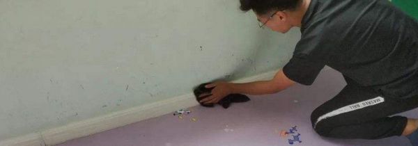 驱逐蜘蛛最有效的方法