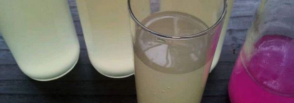 酵素水浇花的正确方法