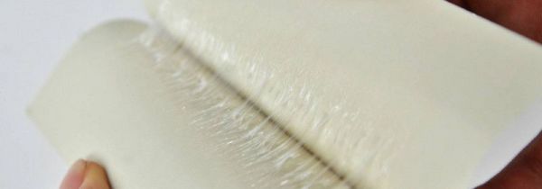 苍蝇太多怎么办