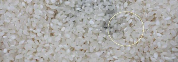 大米生白色虫子能吃吗