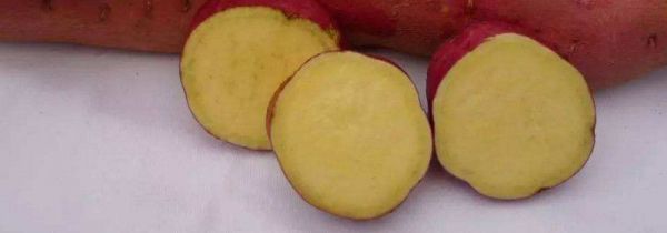 红薯是酸性还是碱性