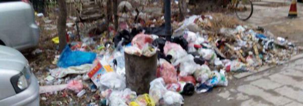 干湿垃圾分类标准