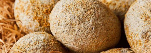 皮蛋没有凝固怎么补救