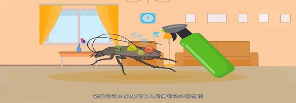 衣服消毒液可以杀死蟑螂吗