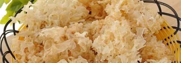 白木耳不能和什么一起吃