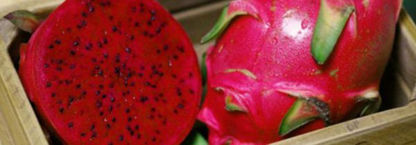 火龙果皮发霉了还能吃吗