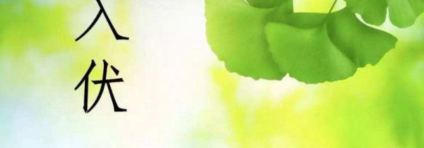 "什么时候入伏,每伏几天"