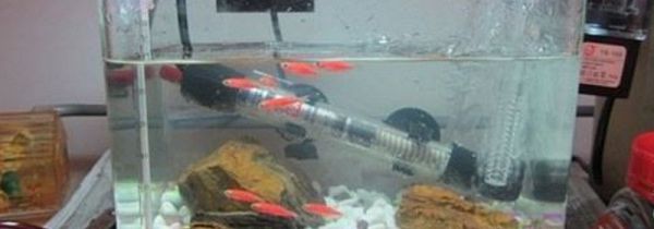 加热棒放在鱼缸什么位置