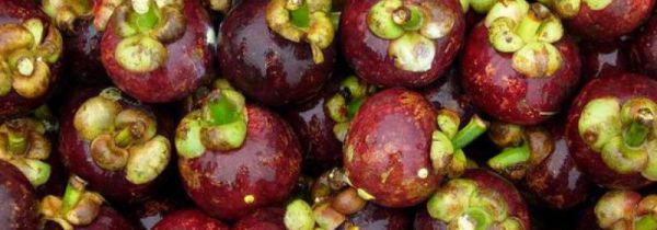 山竹胡萝卜能一起吃吗