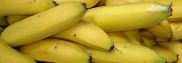 香蕉可以和山竹一起吃吗