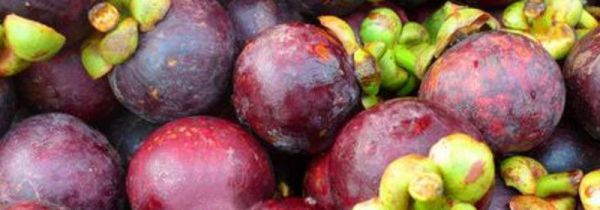 山竹鸡蛋能一起吃吗