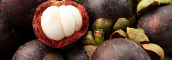 山竹梨能一起吃吗