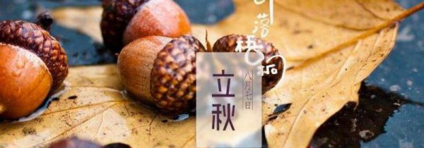 立秋后天气有什么变化