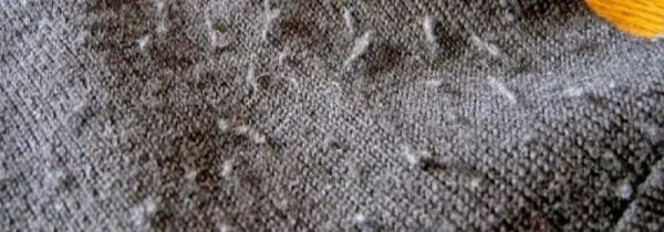 衣服有毛球是什么原因