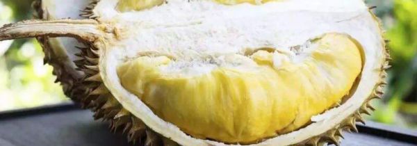 榴莲里的白瓤都怎么吃