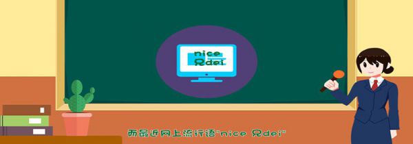 nice什么意思