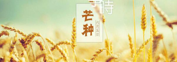 芒种是几月几日