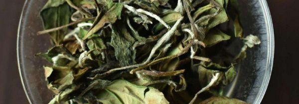 白茶的四个分类