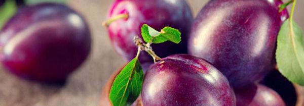 自酿李子酒多久能喝