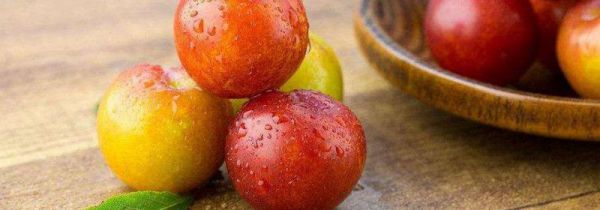 自酿李子酒发酵有白毛