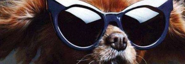 太阳镜能防紫外线吗