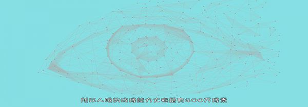 人的眼睛有多少像素