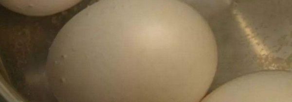 蒸米饭可以放鸡蛋吗