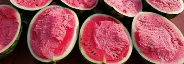 切开后的西瓜吃不完怎么办