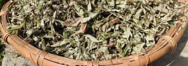 艾草叶泡脚多长时间好