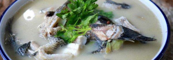 为什么猪油鱼汤更白