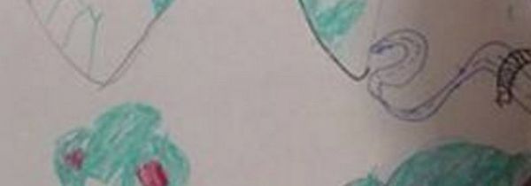 墙上笔迹去除妙招