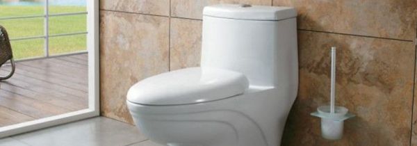 厕所被大团卫生纸堵了