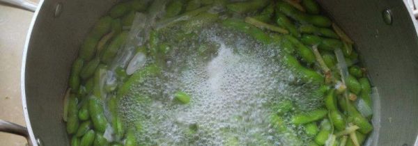 毛豆煮多久能熟