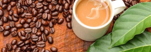 咖啡豆能去甲醛吗