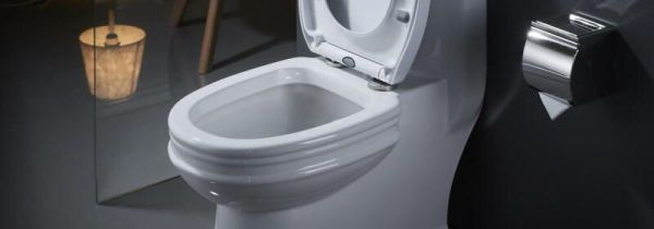 马桶堵了放醋好使吗