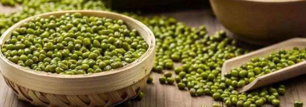 绿豆的保质期多长时间