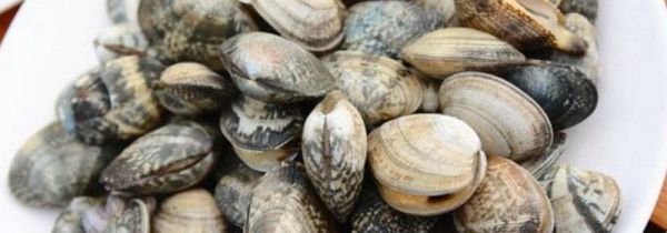 花蛤冷冻后还能开壳吗