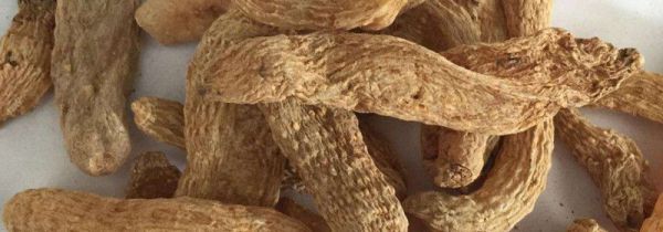 天麻会过期是什么样子