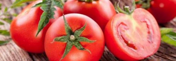 西红柿可以放在冰箱里吗