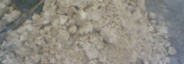 豆渣能不能喂鹅