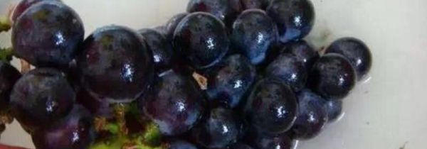 可以用小苏打洗葡萄吗