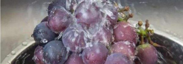 葡萄用面粉洗可以吗