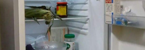 冰箱一直嗡嗡响正常吗