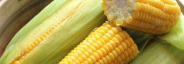 高压锅煮玉米需要多长时间