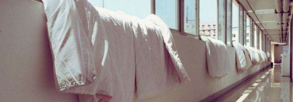 床上潮湿有虫怎么办