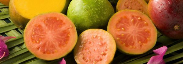 番石榴能榨果汁吗