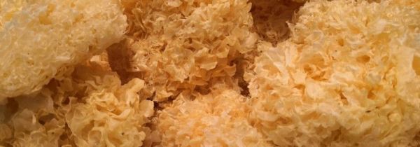 泡发银耳需要多久