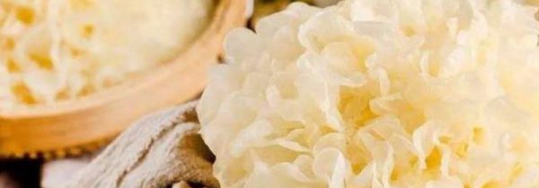 泡发银耳能过夜吗