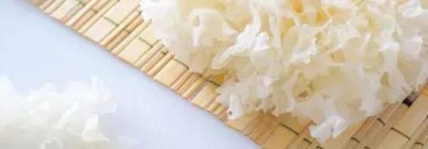 泡发银耳的正确方法